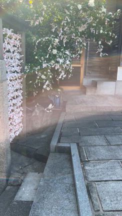 宗像三女神 海上航路の安全祈願の記事動画