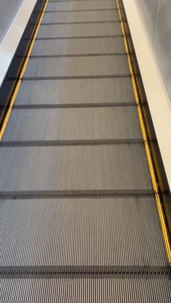 比治山への記事動画