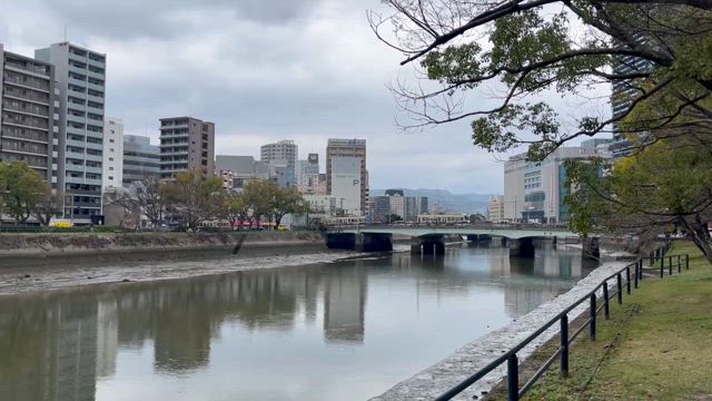 新たな発見！の記事動画