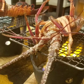 伊勢海老の画像