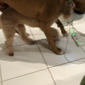 だんだん… の画像