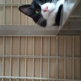 テスト投稿の画像