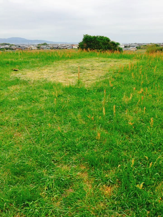 霊能者とはどうあるべきかーホケノ古墳ーの記事動画