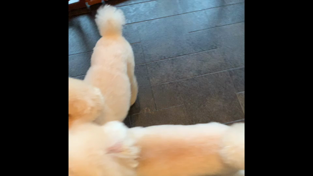 わちゃわちゃ動画♡の記事動画