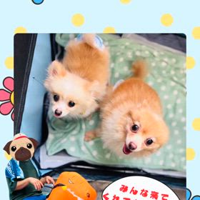 ラキ＆リノ譲渡会デビュー！の画像