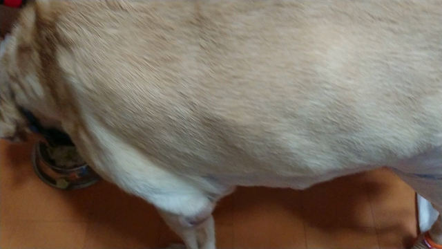 朝から泣いたの記事動画