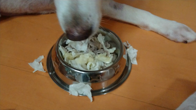 歩むの記事動画