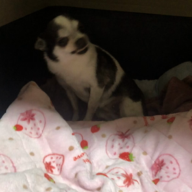 ニー（笑）の画像