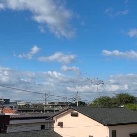 今日の舎外。の画像