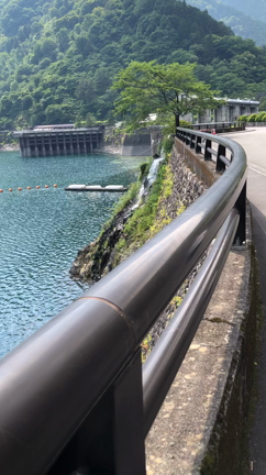 父の日　あじさい山と小河内ダムの記事動画