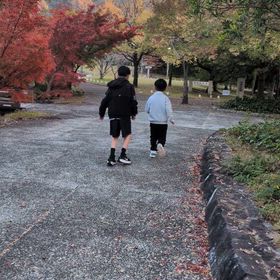 紅葉の画像