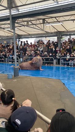 お昼は観光地の物を食べずの記事動画