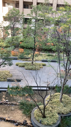 さすがにお昼からはあかんよね？？の記事動画