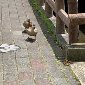 2021/03/06 仲良し！の画像