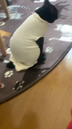 頑張ったね♡の記事動画