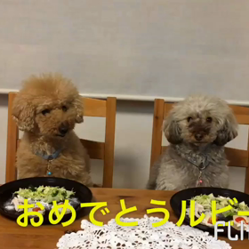 肉の日からの～おめでとうプレートの画像