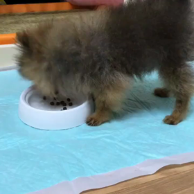 『８／１３』の画像