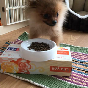 ご飯置きの画像