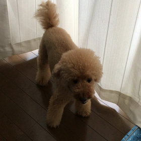 はよ開けて〜の画像