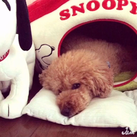 まったり中の画像