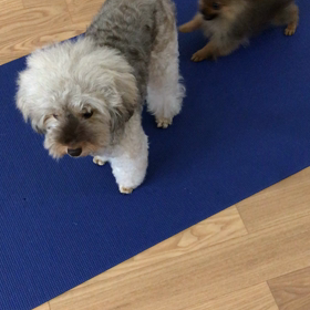 ちゃこ輝♪ルビ輝♪①の画像