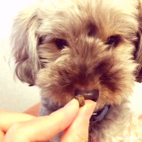 食べさせての画像