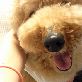 ルビたん、パニック！！の画像