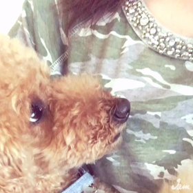 愛しのバブちゃんの画像