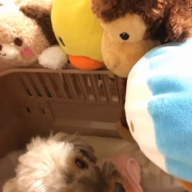 今日もありがとう♡の画像