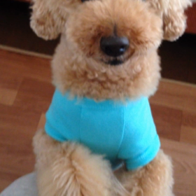 ルビーも魔法かけちゃったぞ！の画像