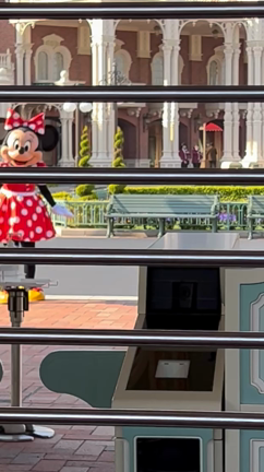♡TDL♡ 朝から幸せな開園前グリ♡の記事動画