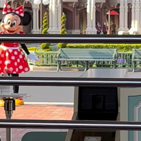 ♡TDL♡ 朝から幸せな開園前グリ♡の画像