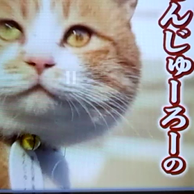 ほっこりの画像