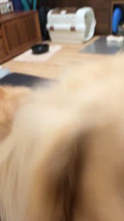 少しずつの日常の記事動画