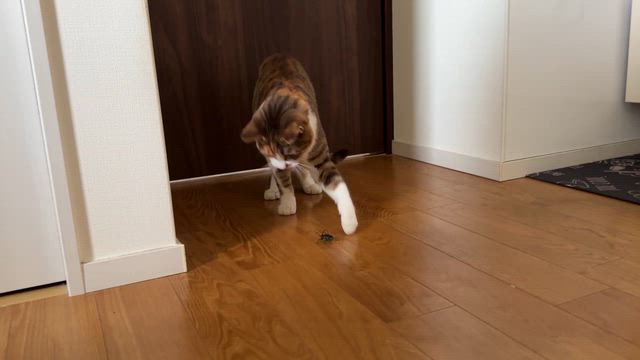 訪問客への対応はの記事動画