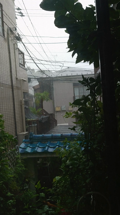 嬉しい雨でした　　　　　ブログNO.２１３４の記事動画