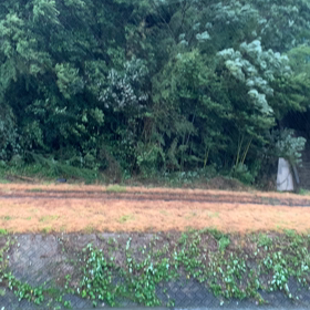2022/09/19の画像