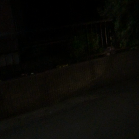 家族の形。の画像