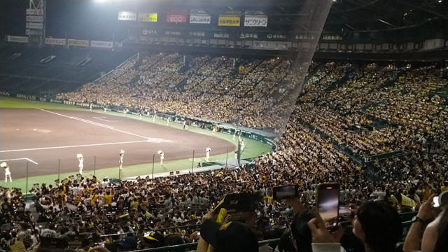 阪神タイガースの記事動画