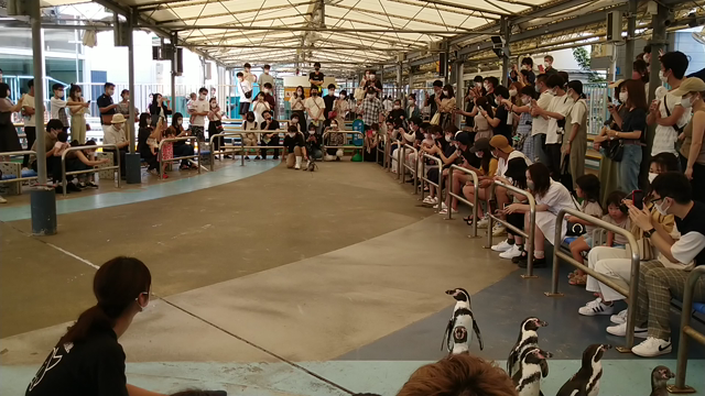 伊勢鳥羽の記事動画