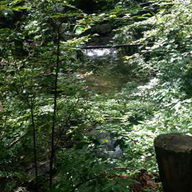 避暑にどうぞの画像