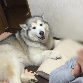 日常の画像