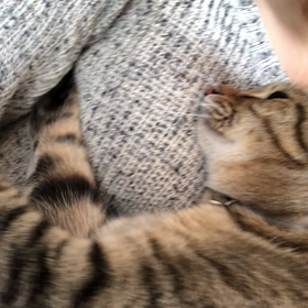 ふみふみの画像