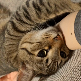 またまたご無沙汰です。の画像