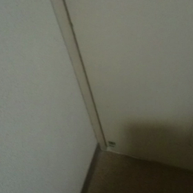 お出迎えの画像