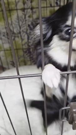 疲れましたの記事動画
