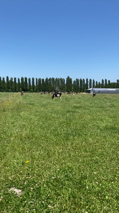 道場名はの記事動画