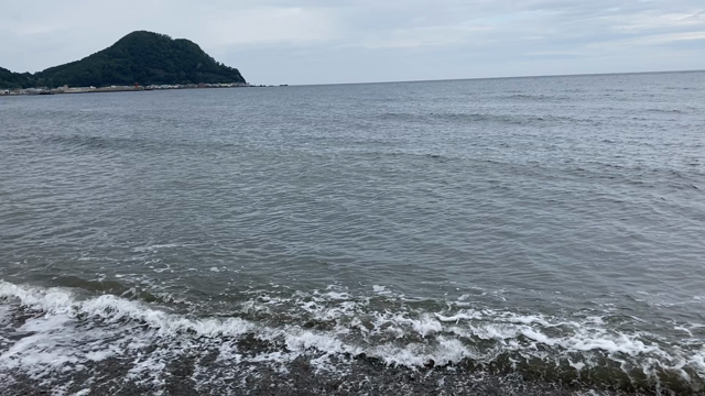 2021 夏　5の記事動画