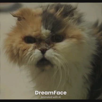 泣いちゃうくらい懐かしくて慕わしくて恋しい存在がいることの記事動画