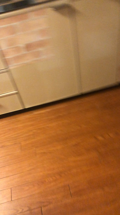 小梅の記事動画